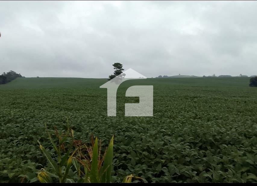 Castelo em fazenda de 40 acres com estábulo e pasto para gado está à venda  por mais de R$ 14 milhões nos EUA, Imóveis